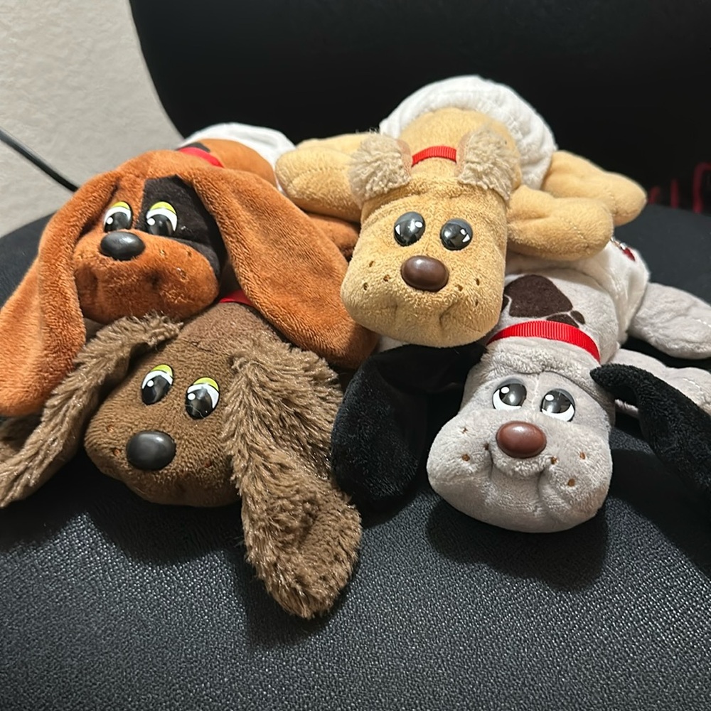 Pound Puppies